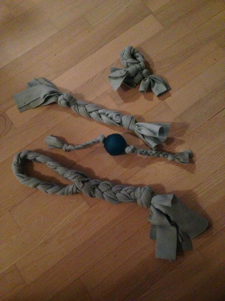 DIY Simple No Sew Dog Toy