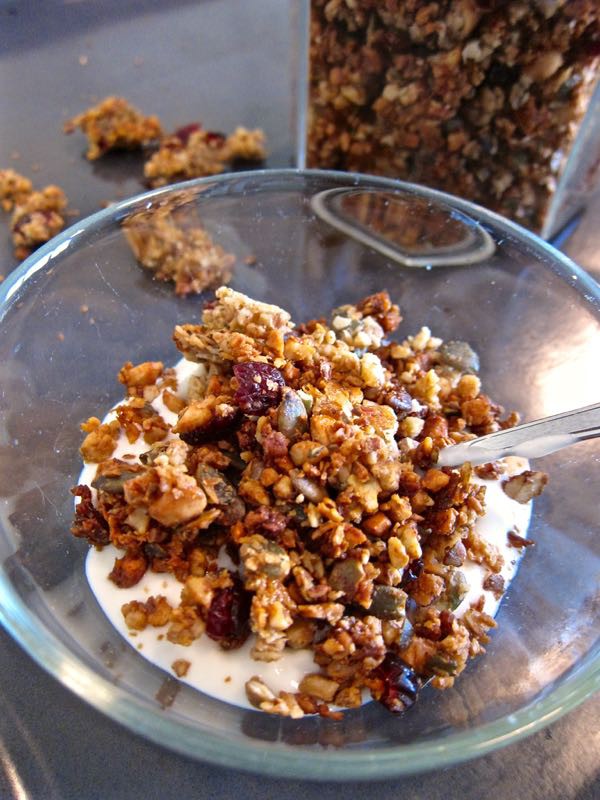 Gluten free and Paleo Granola with Yoghurt