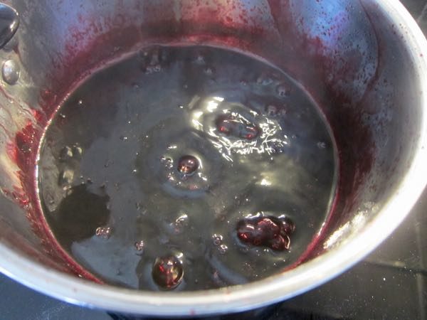 How to Make Your Own Black Currant Juice Concentrate - 11 of 12