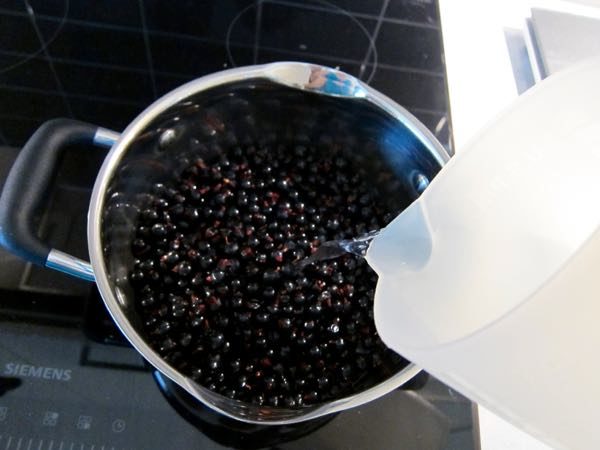 How to Make Your Own Black Currant Juice Concentrate - 3 of 12