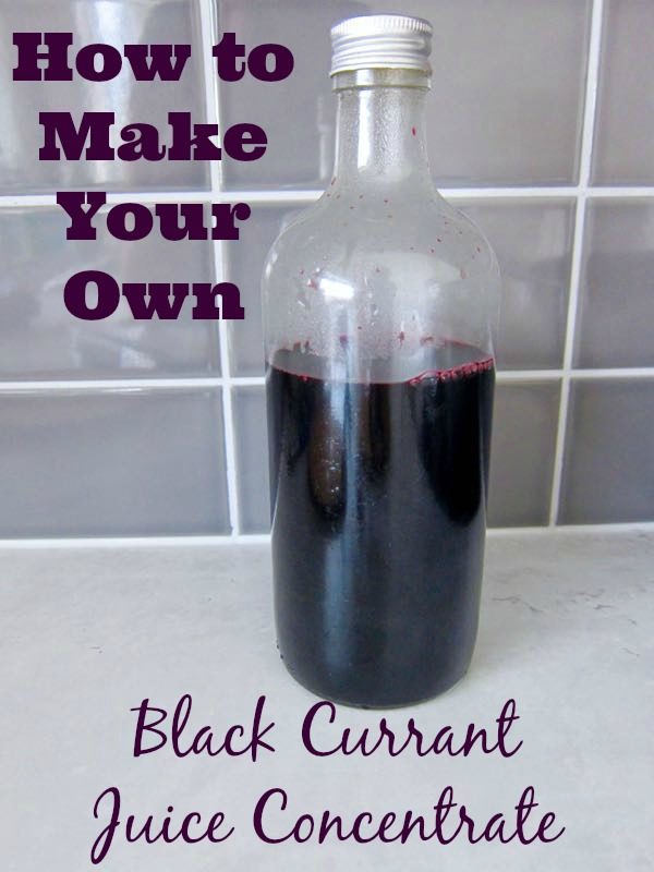 How to Make Your Own Black Currant Juice Concentrate