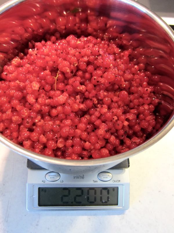 How to Make Your Own Red Currant Juice Concentrate - 1 of 5