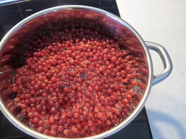 How to Make Your Own Red Currant Juice Concentrate - 2 of 5