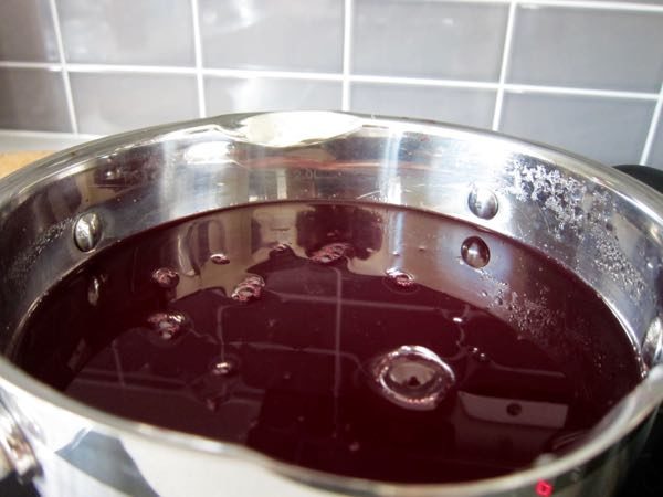 How to Make Your Own Red Currant Juice Concentrate - 3 of 5