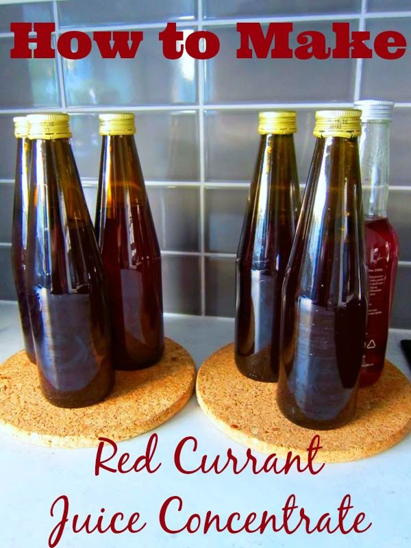 Red Currant Juice Concentrate