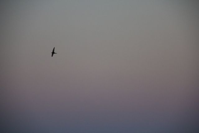 Spain Vacation Photos Part 2