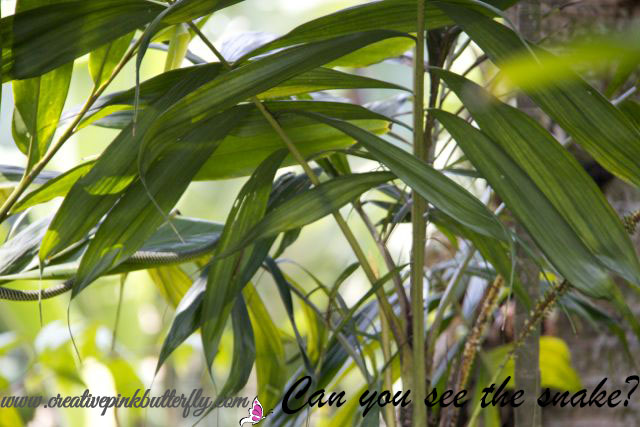 Singapore Holiday & Tips